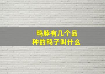 鸭脖有几个品种的鸭子叫什么