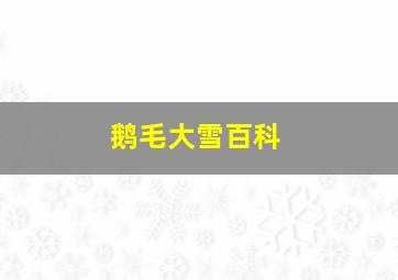 鹅毛大雪百科