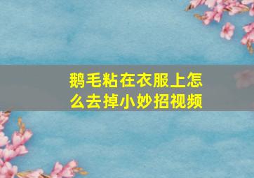 鹅毛粘在衣服上怎么去掉小妙招视频