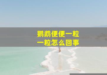 鹦鹉便便一粒一粒怎么回事