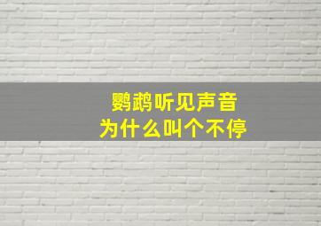 鹦鹉听见声音为什么叫个不停