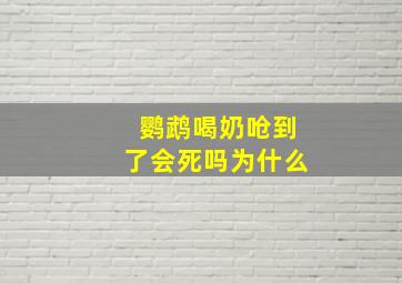 鹦鹉喝奶呛到了会死吗为什么