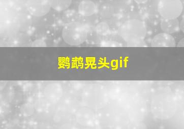 鹦鹉晃头gif