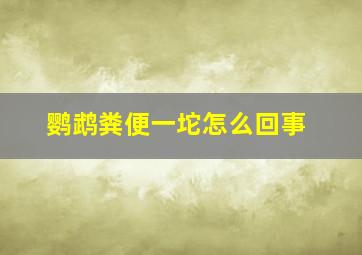 鹦鹉粪便一坨怎么回事