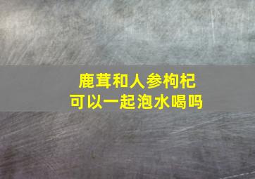 鹿茸和人参枸杞可以一起泡水喝吗