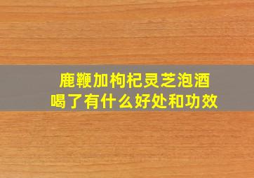 鹿鞭加枸杞灵芝泡酒喝了有什么好处和功效