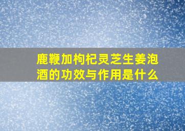 鹿鞭加枸杞灵芝生姜泡酒的功效与作用是什么