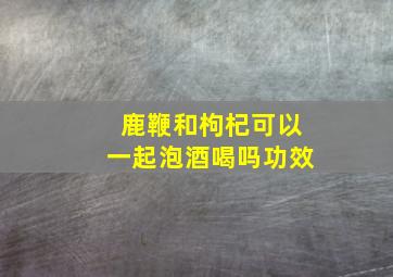 鹿鞭和枸杞可以一起泡酒喝吗功效