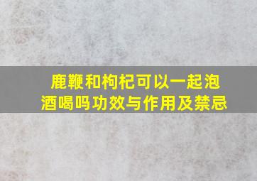 鹿鞭和枸杞可以一起泡酒喝吗功效与作用及禁忌