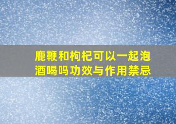 鹿鞭和枸杞可以一起泡酒喝吗功效与作用禁忌