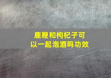 鹿鞭和枸杞子可以一起泡酒吗功效