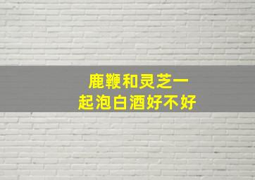 鹿鞭和灵芝一起泡白酒好不好