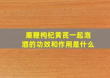 鹿鞭枸杞黄芪一起泡酒的功效和作用是什么