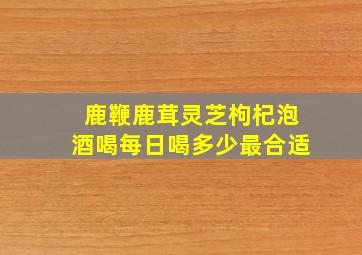 鹿鞭鹿茸灵芝枸杞泡酒喝每日喝多少最合适