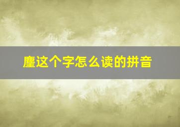 麈这个字怎么读的拼音