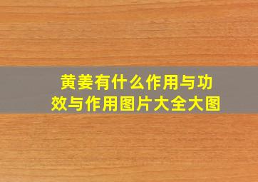 黄姜有什么作用与功效与作用图片大全大图