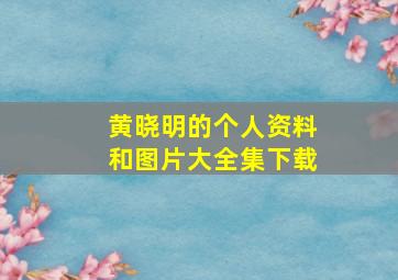 黄晓明的个人资料和图片大全集下载