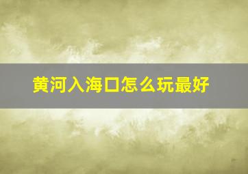 黄河入海口怎么玩最好