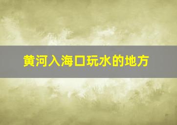 黄河入海口玩水的地方