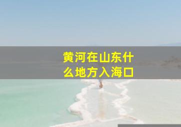 黄河在山东什么地方入海口