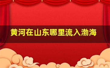 黄河在山东哪里流入渤海