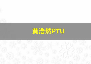 黄浩然PTU