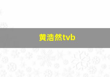 黄浩然tvb