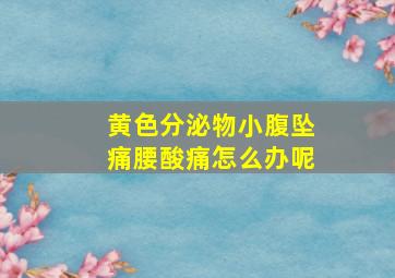 黄色分泌物小腹坠痛腰酸痛怎么办呢