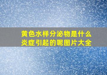 黄色水样分泌物是什么炎症引起的呢图片大全