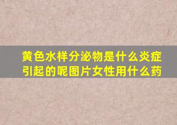 黄色水样分泌物是什么炎症引起的呢图片女性用什么药