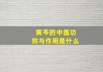 黄芩的中医功效与作用是什么