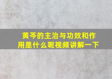 黄芩的主治与功效和作用是什么呢视频讲解一下