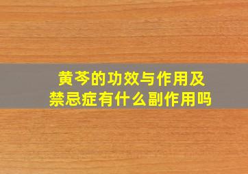 黄芩的功效与作用及禁忌症有什么副作用吗