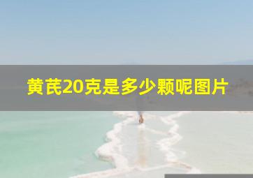 黄芪20克是多少颗呢图片