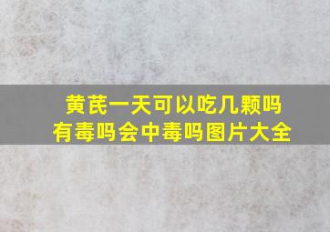 黄芪一天可以吃几颗吗有毒吗会中毒吗图片大全