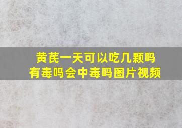 黄芪一天可以吃几颗吗有毒吗会中毒吗图片视频