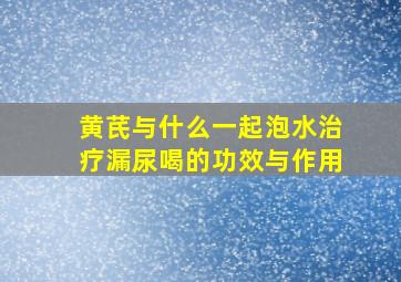 黄芪与什么一起泡水治疗漏尿喝的功效与作用