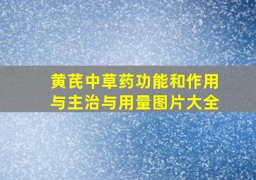 黄芪中草药功能和作用与主治与用量图片大全