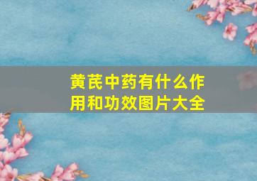 黄芪中药有什么作用和功效图片大全