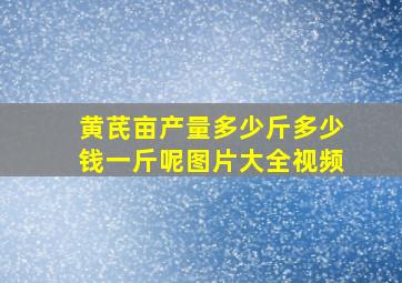 黄芪亩产量多少斤多少钱一斤呢图片大全视频