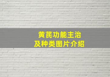 黄芪功能主治及种类图片介绍