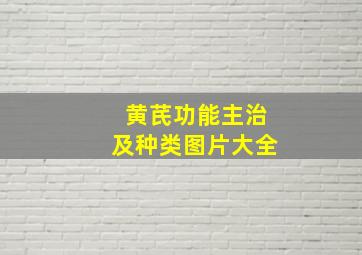 黄芪功能主治及种类图片大全