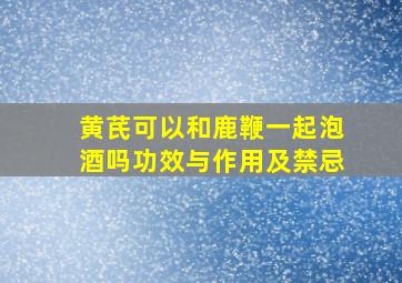 黄芪可以和鹿鞭一起泡酒吗功效与作用及禁忌