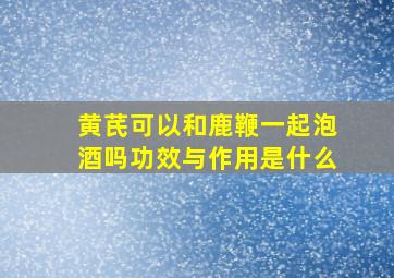 黄芪可以和鹿鞭一起泡酒吗功效与作用是什么