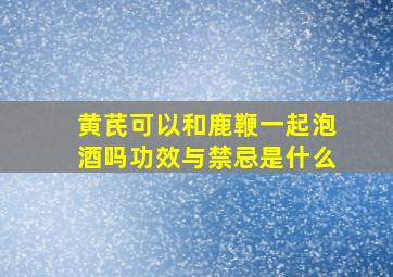 黄芪可以和鹿鞭一起泡酒吗功效与禁忌是什么