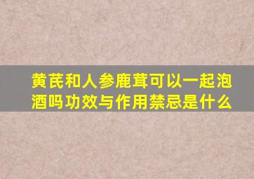 黄芪和人参鹿茸可以一起泡酒吗功效与作用禁忌是什么