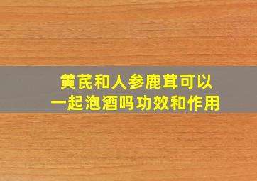 黄芪和人参鹿茸可以一起泡酒吗功效和作用