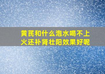 黄芪和什么泡水喝不上火还补肾壮阳效果好呢