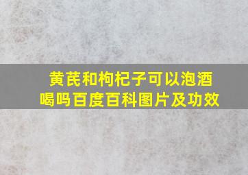 黄芪和枸杞子可以泡酒喝吗百度百科图片及功效