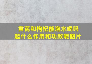 黄芪和枸杞能泡水喝吗起什么作用和功效呢图片